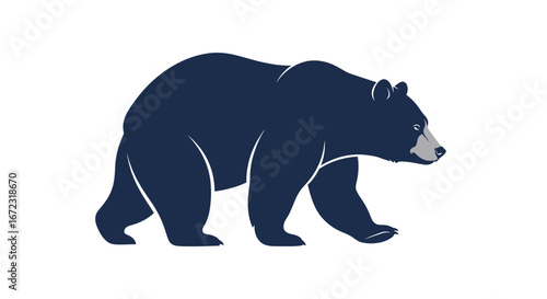 Bear animal wildlife mammal nature predator forest wild grizzly walking zoo