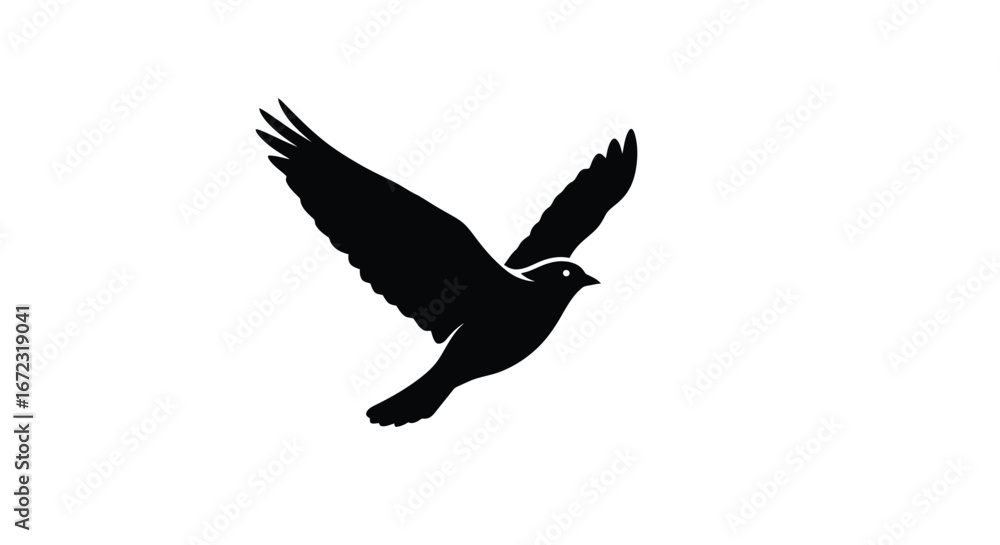 Obraz premium Bird flying freedom silhouette wings animal nature flight sky peace hope