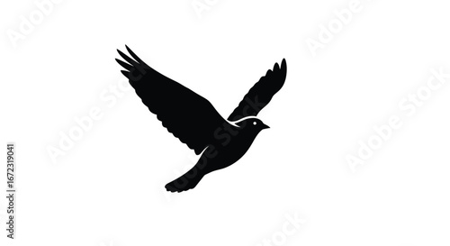 Bird flying freedom silhouette wings animal nature flight sky peace hope