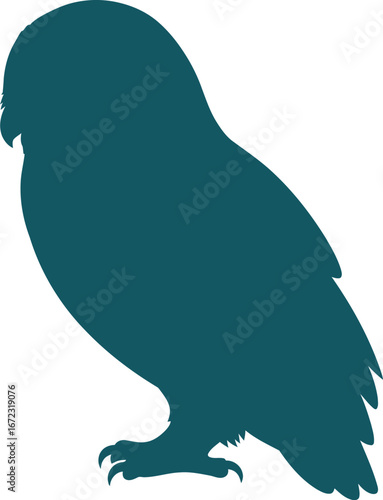 Owl silhouette bird wildlife nature animal avian predator nocturnal hunter