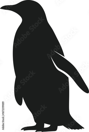 Penguin bird antarctic wildlife animal nature cold ice sea ocean black white