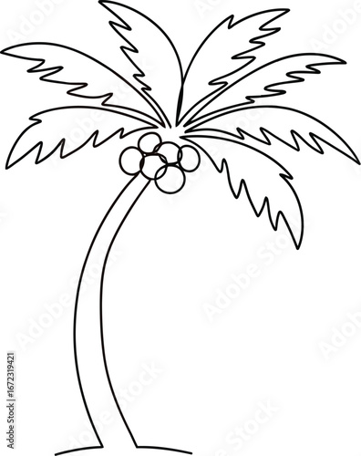 Palm tree tropical summer beach vacation island coconut paradise nature sea