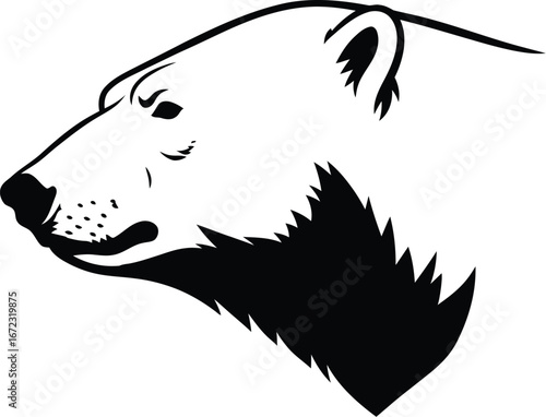 Polar bear arctic wildlife predator mammal carnivore animal nature ice cold