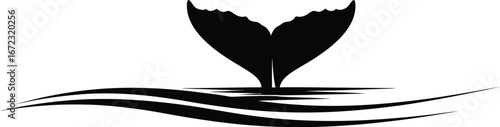 Whale tail ocean sea marine wildlife animal nature aquatic mammal water silhouette