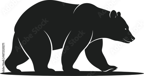 Bear mammal animal wildlife nature predator forest silhouette walking zoo wild