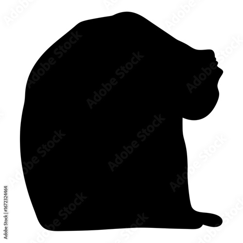 Silhouette of a Woman in a Backbend Yoga Pose with Head Tilt
