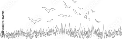 Bats flying grass halloween spooky night creatures mammal sky silhouette dark