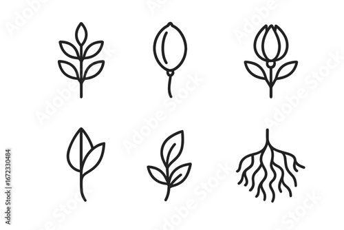 Botanical line icon set. Simple plant symbols. Minimalist outline icons of leaf, flower bud, seed pod, stem, and roots. Eco, organic, and nature concept for logo design.