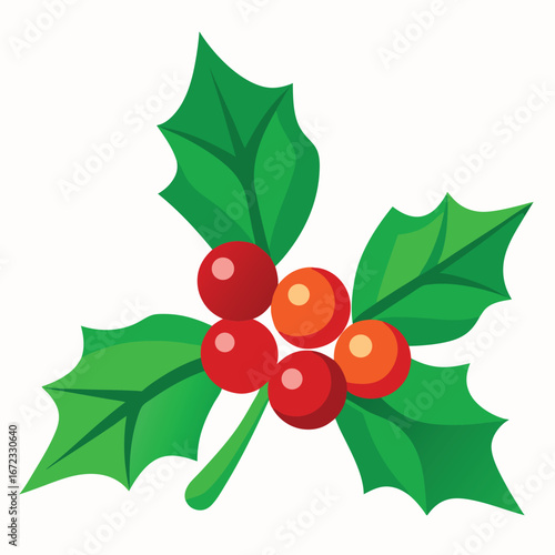 Vector art of christmas holly sprig with red berries and green leaves