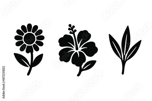 Herbal tea icons set. Solid glyph vector illustration of traditional medicinal plants. Chamomile flower, hibiscus bloom, and rooibos leaf silhouettes for wellness concepts.