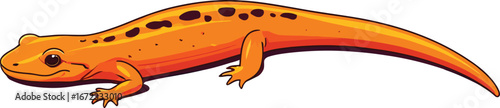 Cute cartoon a illustrator vector salamander