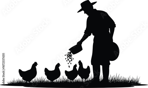 Farmer feeding chickens poultry livestock agriculture rural farming silhouette farm