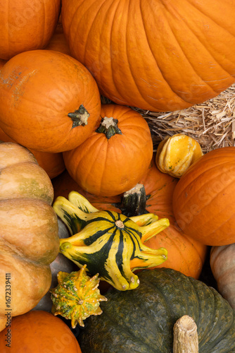 Multiple varieties of pumpkins and squash, white punpkins, gourds, on hay, arranged as autumn fall decor on a patio outdoors in a suburb