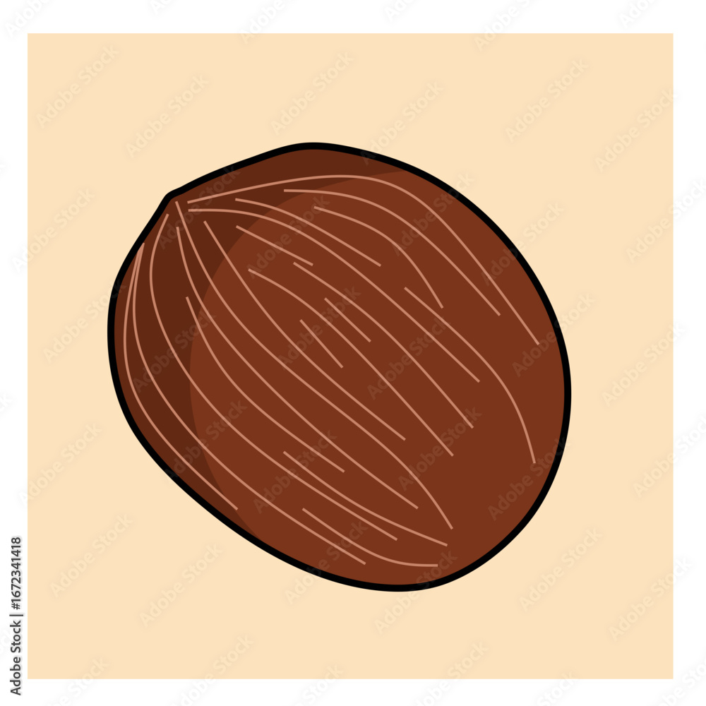 Obraz premium vector illustration of a coconut