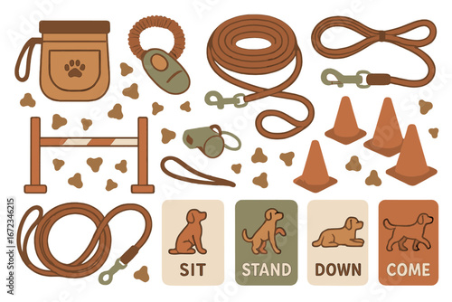 Vector illustration of dog training tools and commands including leashes, clicker, treats, cones, whistle, and command cards