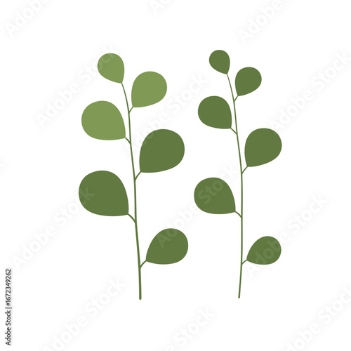 Delicate green leafy stems minimalist botanical illustration for natural design projects