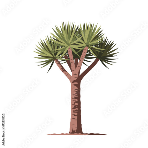 Illustrative representation of a desert yucca tree featuring spiky green leaves and a textured trunk against a white background