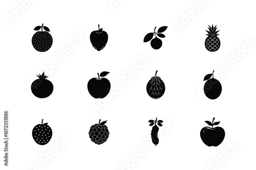 set of  12 fruits sugar apple,pomegranate,rose apple,salak,sapodilla,sour sop,bread,ice apple,longan,pineapple,velvet tamarind,water apple silhouette art