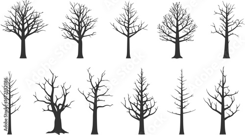 vector set of Isolated Concept Of Dead Trees Set
