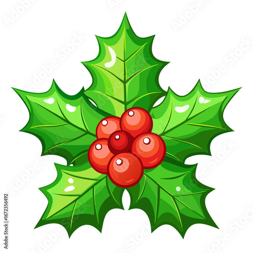 Christmas holly berries and leaves isolated on white background isolated on transparent background
