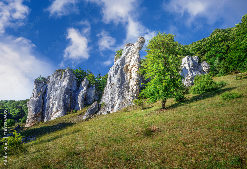 Obraz premium Rock formation in the Altmühltal valley
