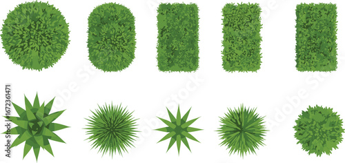 Top View Bushes and Plants Vector Set – Decorative Garden Elements for Landscaping, Outdoor Planning, and Green Foliage Layout in Flat Style