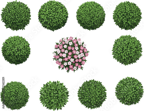 Top view of assorted green bushes and flowering shrubs vector collection, decorative garden