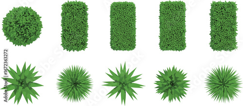 Top View of Decorative Bushes and Plants Set – Landscape Design Elements for Gardens, Parks, and Outdoor Planning in Vector Illustration