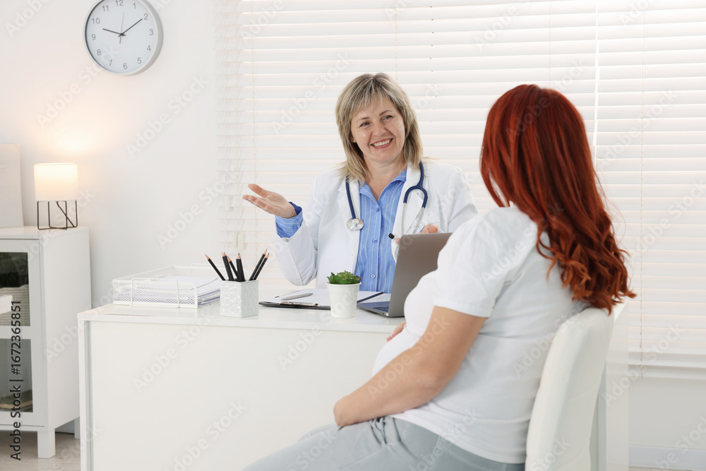 Fototapeta premium Pregnant woman having appointment with doctor in clinic