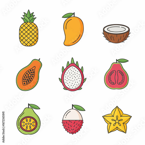 outlined tropical fruits, including pineapple, mango, coconut, and starfruit