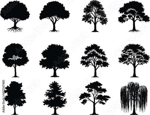 Tree Silhouette Vector Collection Featuring Various Forest, Willow, and Oak Trees with Roots, Foliage, and Trunks for Nature, Landscape, and Botanical Designs