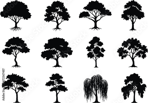 Tree Silhouette Vector Set Featuring Oak, Willow, and Natural Forest Trees with Roots, Branches, and Leaves for Nature, Landscape, and Botanical Designs