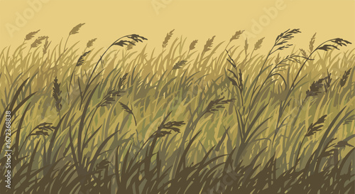 Wind Blows Tall Grasses in Field