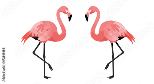Two pink flamingos are standing on white background