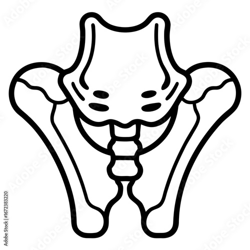 Stylized Human Pelvis Icon