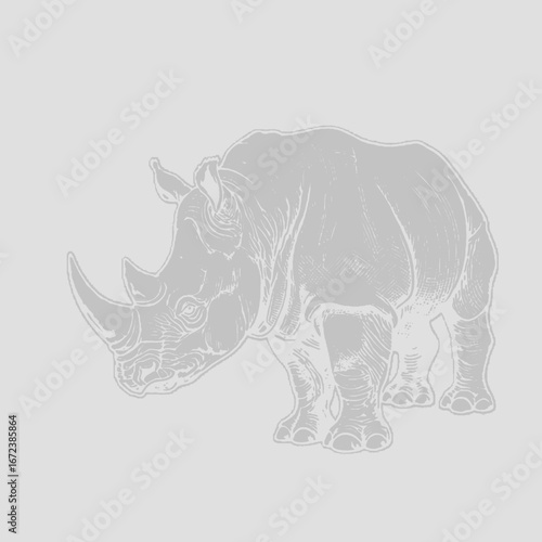 rhino vector illustration. Rhino Silhouette
