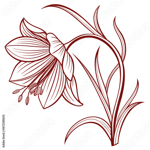 crown imperial red vector