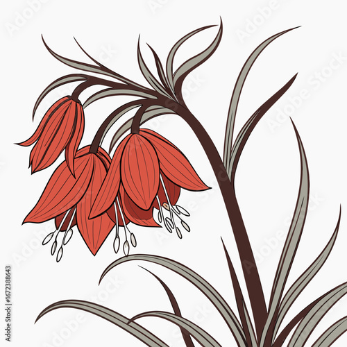 crown imperial red with leaves