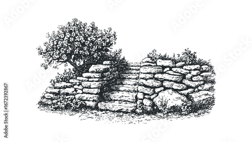 Black and White Sketch of Stone Steps and Wall with Overgrown Vegetation. Vector hand drawn illustration