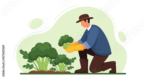 Agricultural Harvest: Farmer Harvesting Fresh Broccoli in a Lush And Bountiful Garden Scene