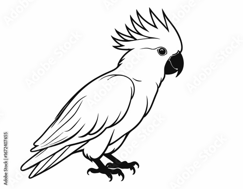 Cockatoo bird Silhouette digital Art, Intricate Powerful and Ready for Print or Web, Sharp Details. Strong Identity. Timeless Design
