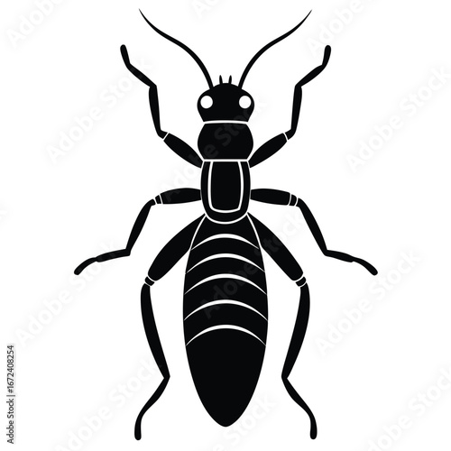 termite vector