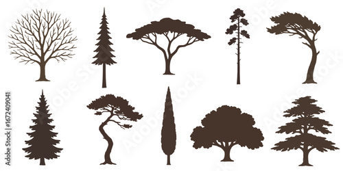 Tree Silhouettes Set – Vector Collection of Nature Trees and Forest Shapes