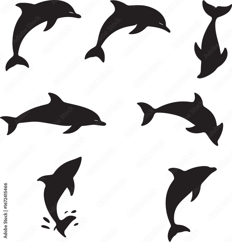 Obraz premium Dolphin silhouette vector 