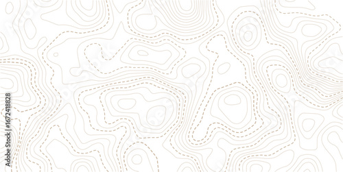 Topographic map lines, contour background. Background of the topographic map. Image grid geographic relief topographic contour line maps cartography texture
