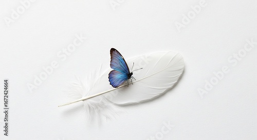 Blauer Schmetterling ruht sanft auf weisser Feder zarte Lichtinszenierung. AI Generated