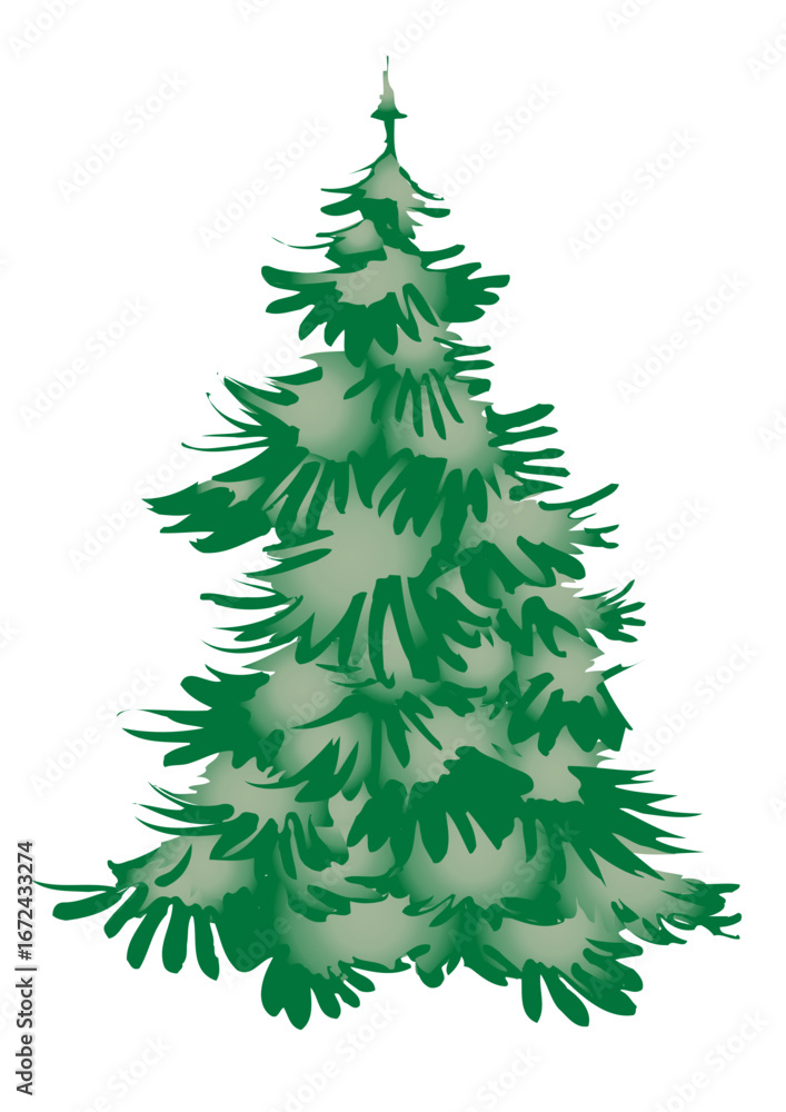 Fototapeta premium A Christmas tree (fir tree) without decorations