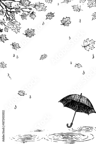Autumn leaves and umbrella in rain - vintage black and white engraving for art prints