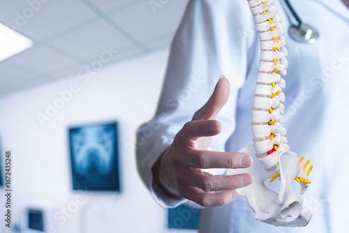 Detailed view of a doctor explaining spinal anatomy carefully.