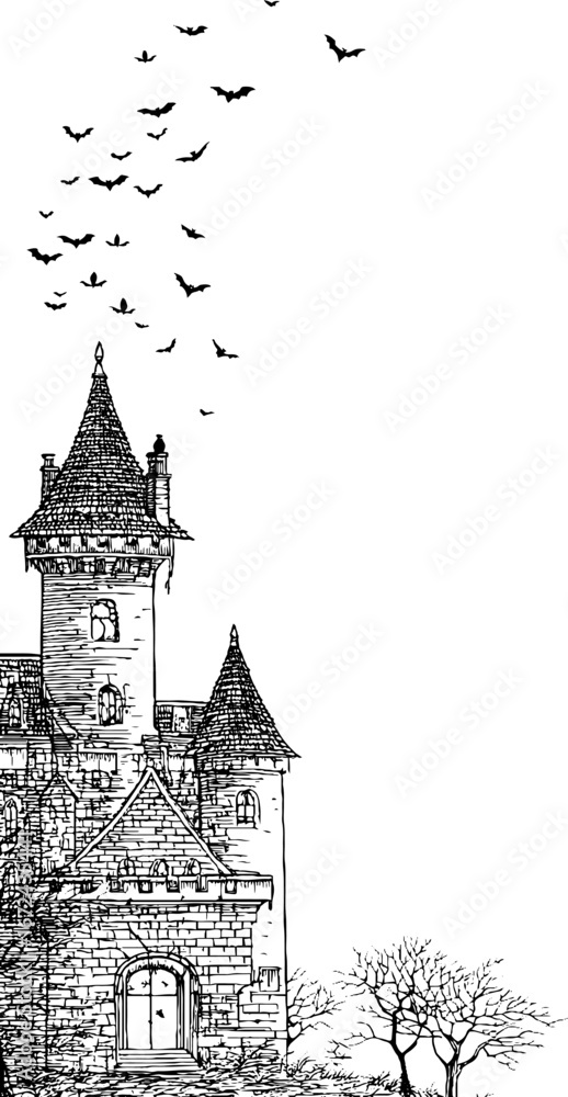 Fototapeta premium Intricate vintage castle illustration with birds and trees for design projects